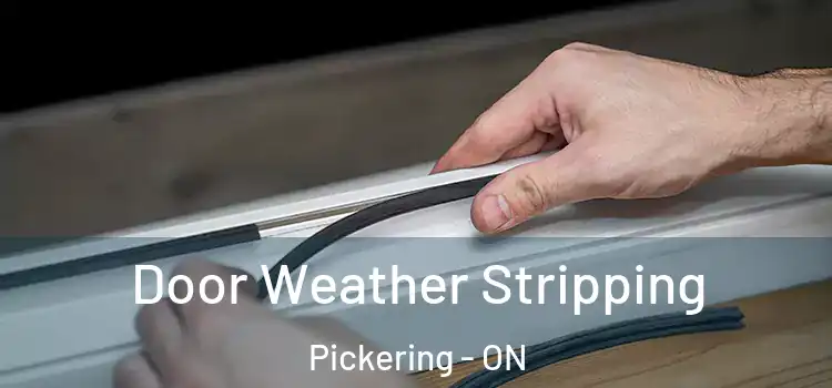  Door Weather Stripping Pickering - ON