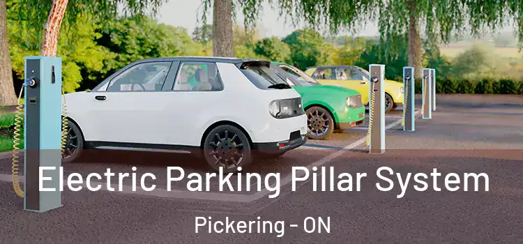  Electric Parking Pillar System Pickering - ON